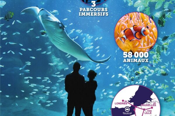 nausicaa_2022_1644850465